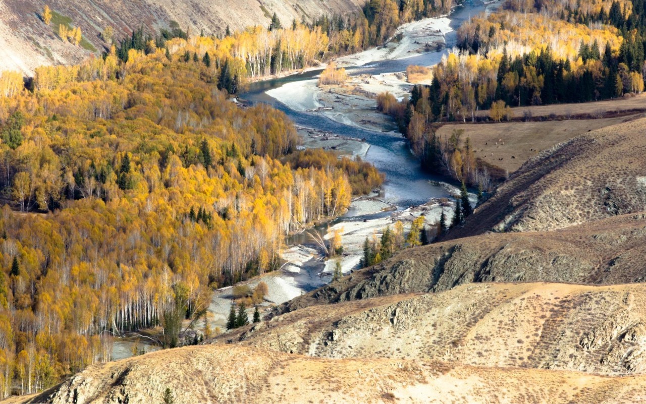 新疆地理、历史与文化概览